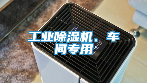 工業(yè)除濕機、車間專用