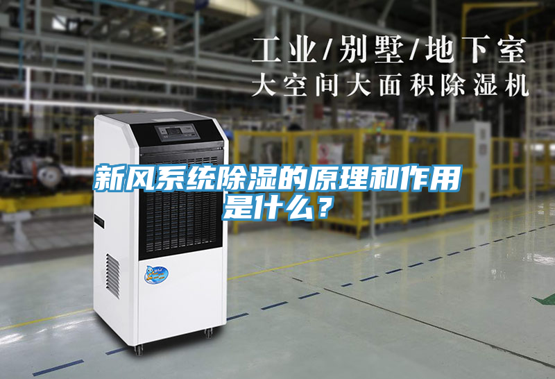 新風系統(tǒng)除濕的原理和作用是什么？