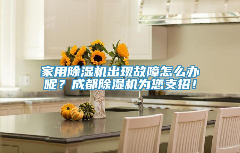 家用除濕機(jī)出現(xiàn)故障怎么辦呢？成都除濕機(jī)為您支招！