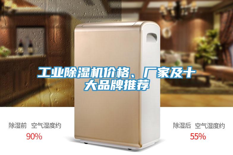 工業(yè)除濕機(jī)價(jià)格、廠(chǎng)家及十大品牌推薦