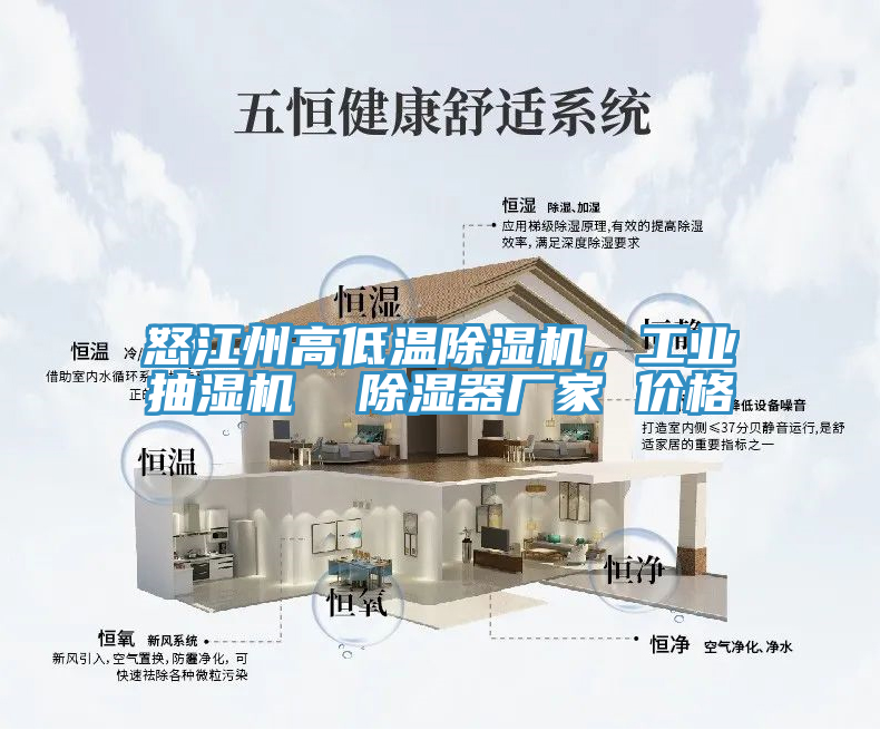 怒江州高低溫除濕機(jī)，工業(yè)抽濕機(jī)  除濕器廠家 價(jià)格