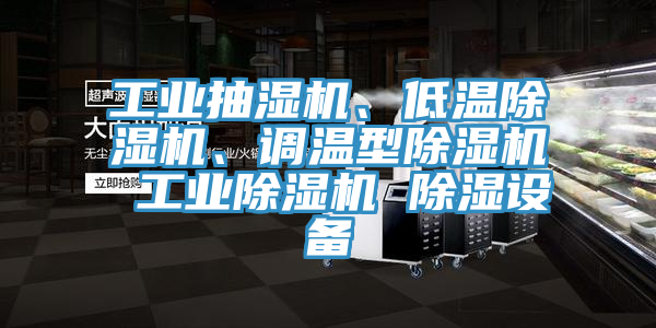 工業(yè)抽濕機(jī)、低溫除濕機(jī)、調(diào)溫型除濕機(jī) 工業(yè)除濕機(jī) 除濕設(shè)備