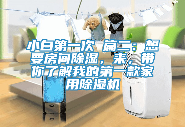 小白第一次 篇二：想要房間除濕，來，帶你了解我的第一款家用除濕機(jī)