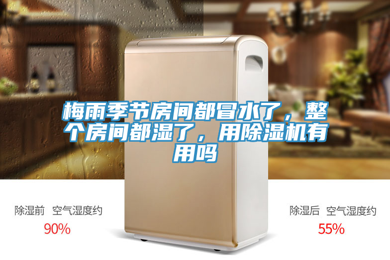 梅雨季節(jié)房間都冒水了，整個房間都濕了，用除濕機有用嗎