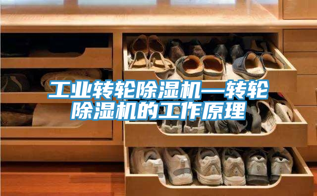 工業(yè)轉輪除濕機—轉輪除濕機的工作原理