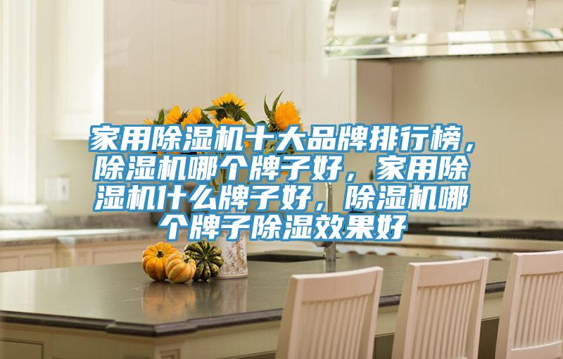 家用除濕機十大品牌排行榜，除濕機哪個牌子好，家用除濕機什么牌子好，除濕機哪個牌子除濕效果好