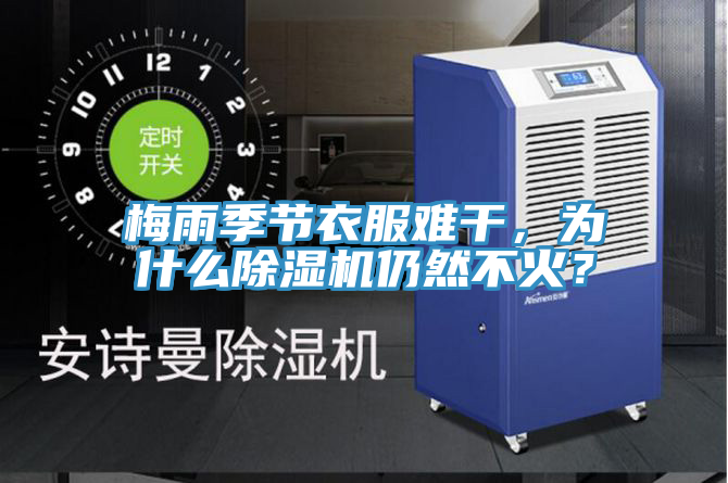 梅雨季節(jié)衣服難干，為什么除濕機仍然不火？