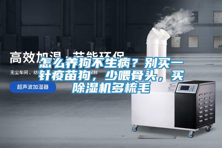 怎么養(yǎng)狗不生?。縿e買一針疫苗狗，少喂骨頭，買除濕機(jī)多梳毛
