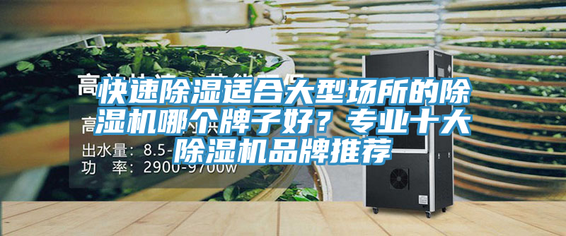 快速除濕適合大型場(chǎng)所的除濕機(jī)哪個(gè)牌子好？專業(yè)十大除濕機(jī)品牌推薦