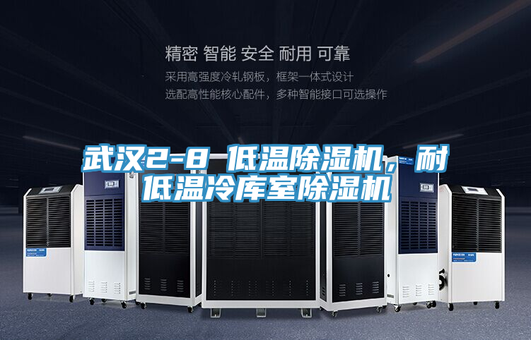 武漢2-8℃低溫除濕機，耐低溫冷庫室除濕機
