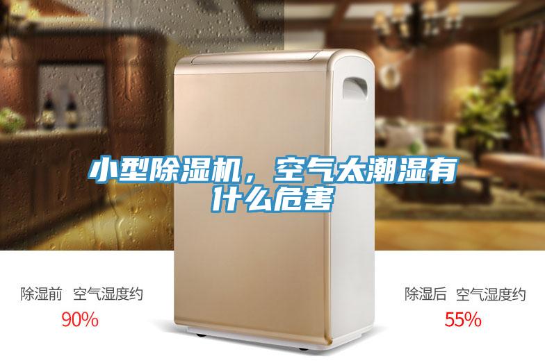 小型除濕機(jī)，空氣太潮濕有什么危害