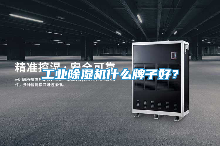 工業(yè)除濕機什么牌子好？