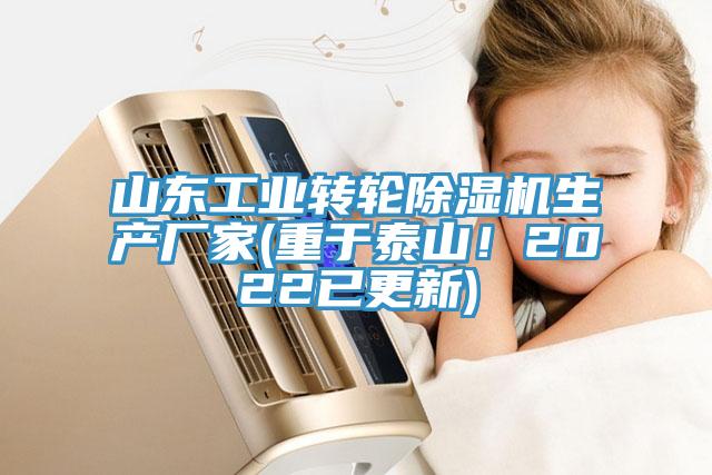 山東工業(yè)轉(zhuǎn)輪除濕機(jī)生產(chǎn)廠(chǎng)家(重于泰山！2022已更新)
