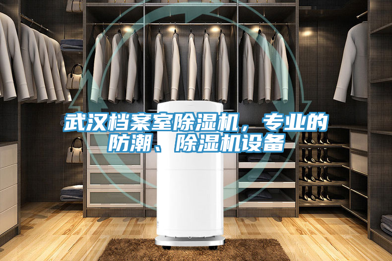 武漢檔案室除濕機，專業(yè)的防潮、除濕機設備