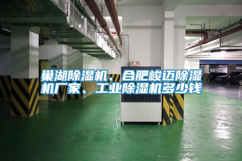 巢湖除濕機、合肥峻邁除濕機廠家、工業(yè)除濕機多少錢