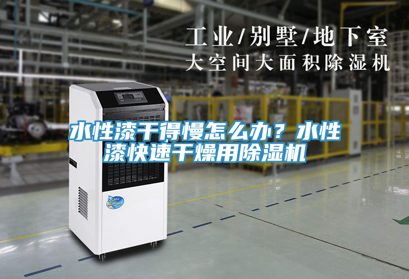 水性漆干得慢怎么辦？水性漆快速干燥用除濕機(jī)