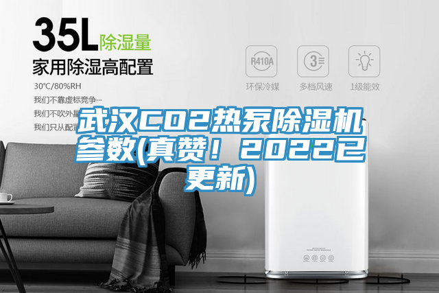 武漢CO2熱泵除濕機參數(shù)(真贊！2022已更新)
