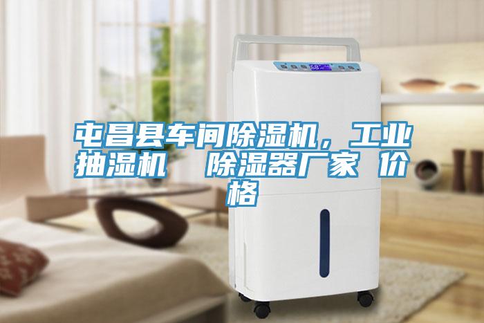 屯昌縣車(chē)間除濕機(jī)，工業(yè)抽濕機(jī)  除濕器廠(chǎng)家 價(jià)格