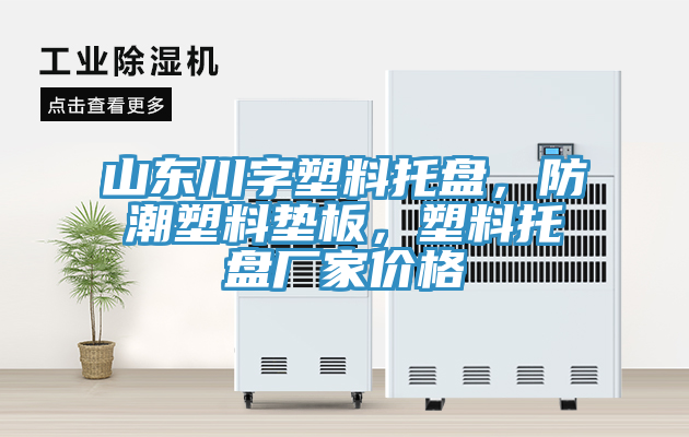 山東川字塑料托盤，防潮塑料墊板，塑料托盤廠家價(jià)格