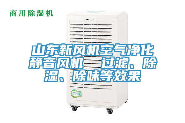 山東新風(fēng)機(jī)空氣凈化靜音風(fēng)機(jī)  過濾、除濕、除味等效果