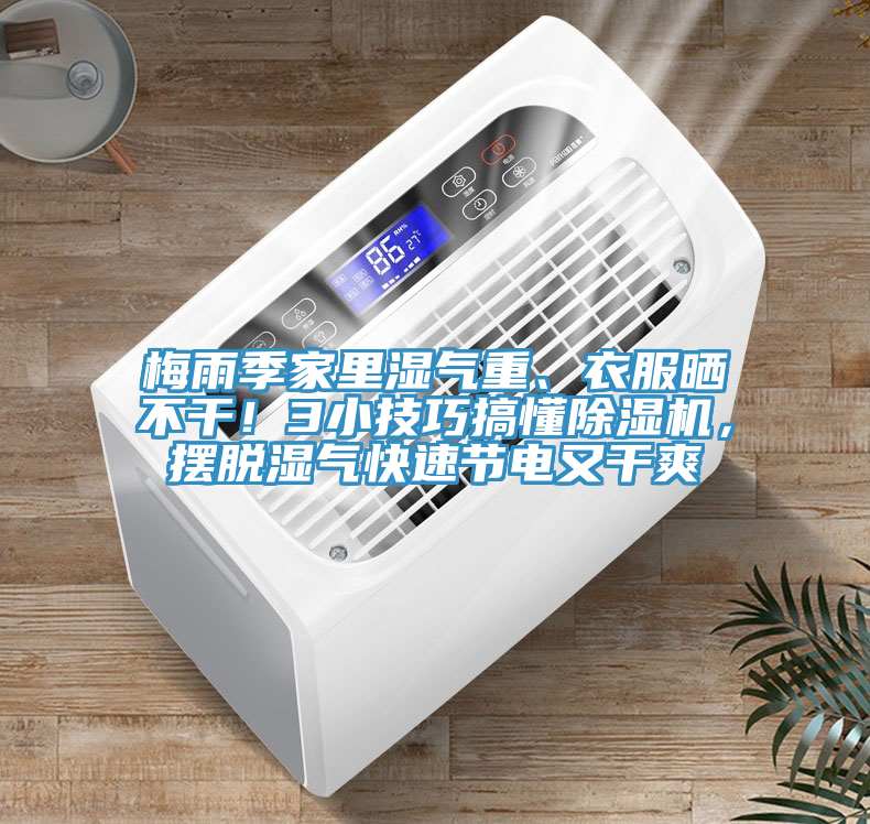 梅雨季家里濕氣重、衣服曬不干！3小技巧搞懂除濕機(jī)，擺脫濕氣快速節(jié)電又干爽