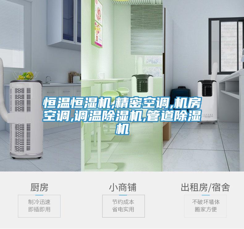 恒溫恒濕機,精密空調,機房空調,調溫除濕機,管道除濕機
