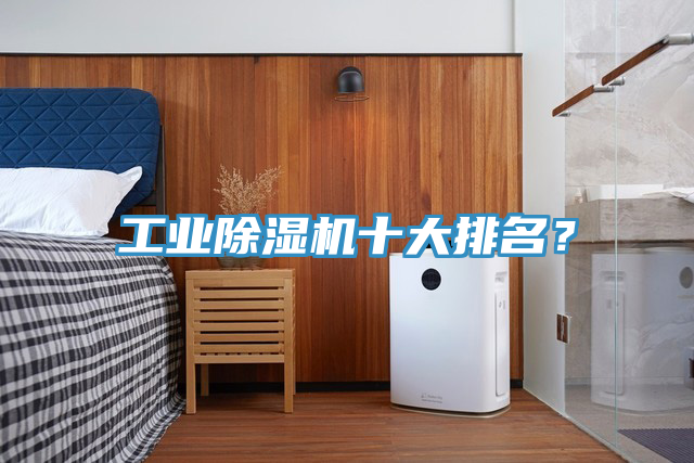 工業(yè)除濕機十大排名？