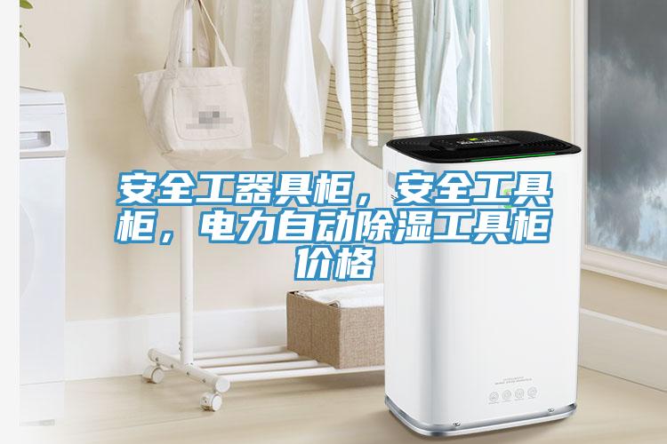 安全工器具柜，安全工具柜，電力自動除濕工具柜價格