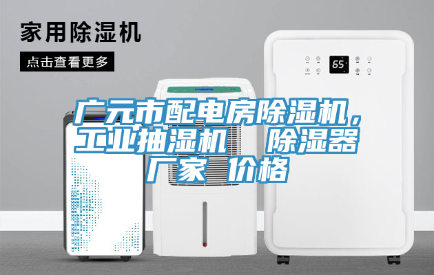 廣元市配電房除濕機(jī)，工業(yè)抽濕機(jī)  除濕器廠家 價(jià)格