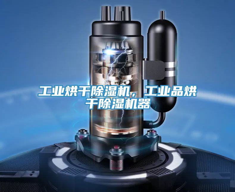 工業(yè)烘干除濕機(jī)，工業(yè)品烘干除濕機(jī)器
