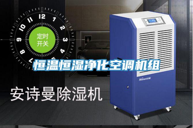 恒溫恒濕凈化空調機組