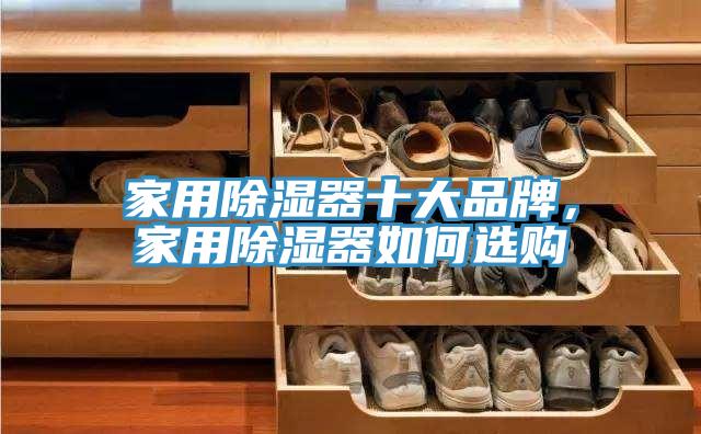 家用除濕器十大品牌，家用除濕器如何選購