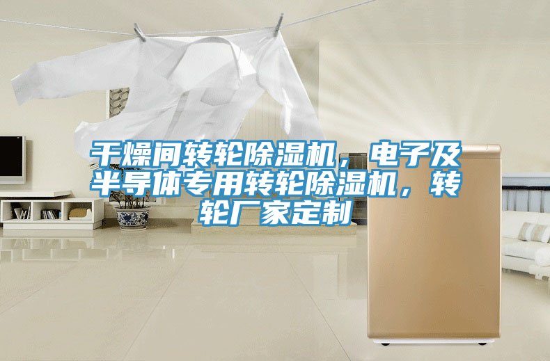 干燥間轉(zhuǎn)輪除濕機(jī)，電子及半導(dǎo)體專用轉(zhuǎn)輪除濕機(jī)，轉(zhuǎn)輪廠家定制