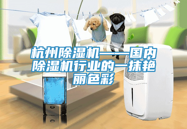 杭州除濕機(jī)——國(guó)內(nèi)除濕機(jī)行業(yè)的一抹艷麗色彩