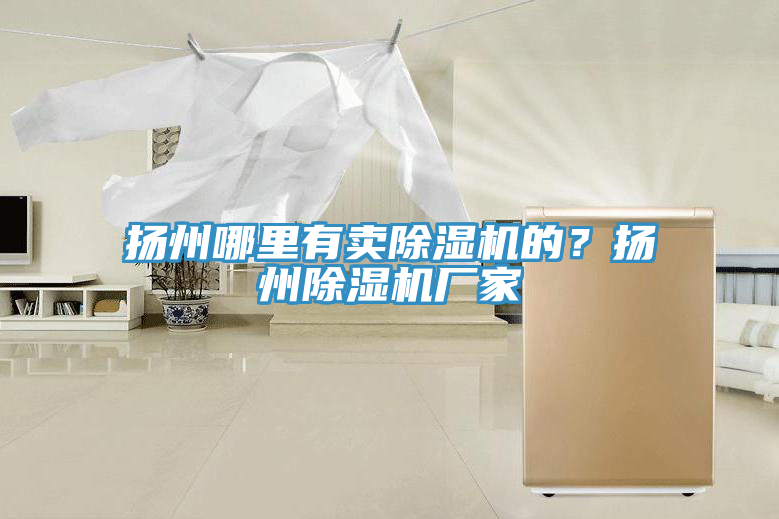 揚(yáng)州哪里有賣(mài)除濕機(jī)的？揚(yáng)州除濕機(jī)廠家