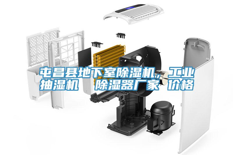 屯昌縣地下室除濕機(jī)，工業(yè)抽濕機(jī)  除濕器廠(chǎng)家 價(jià)格