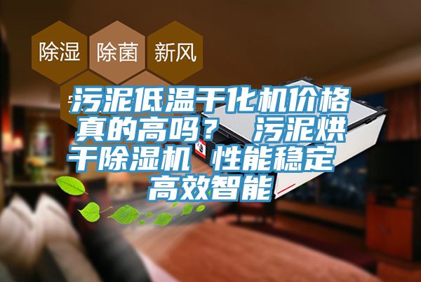 污泥低溫干化機(jī)價(jià)格真的高嗎？ 污泥烘干除濕機(jī) 性能穩(wěn)定 高效智能