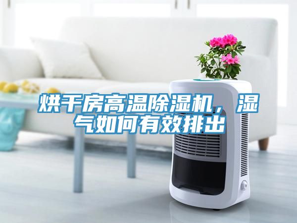 烘干房高溫除濕機(jī)，濕氣如何有效排出