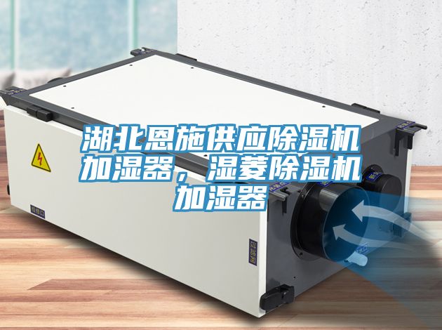 湖北恩施供應(yīng)除濕機(jī)加濕器，濕菱除濕機(jī)加濕器