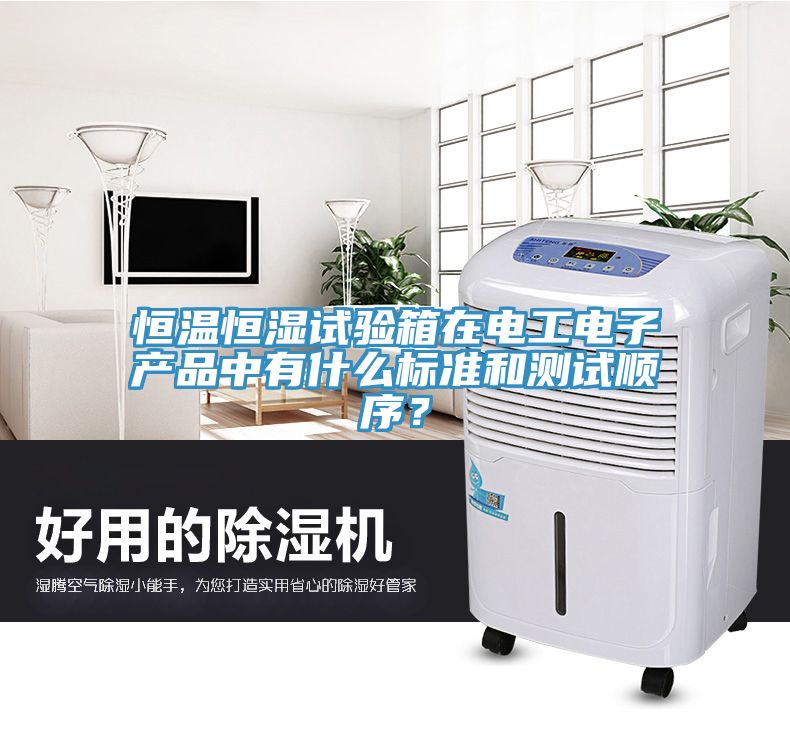 恒溫恒濕試驗箱在電工電子產(chǎn)品中有什么標(biāo)準(zhǔn)和測試順序？