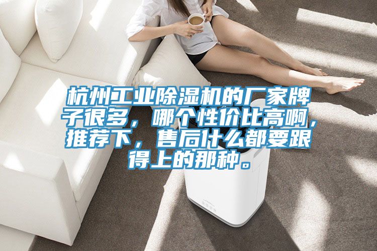 杭州工業(yè)除濕機(jī)的廠家牌子很多，哪個(gè)性價(jià)比高啊，推薦下，售后什么都要跟得上的那種。