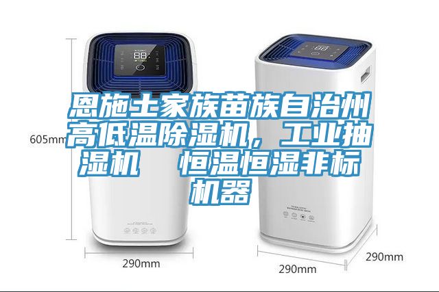 恩施土家族苗族自治州高低溫除濕機(jī)，工業(yè)抽濕機(jī)  恒溫恒濕非標(biāo)機(jī)器