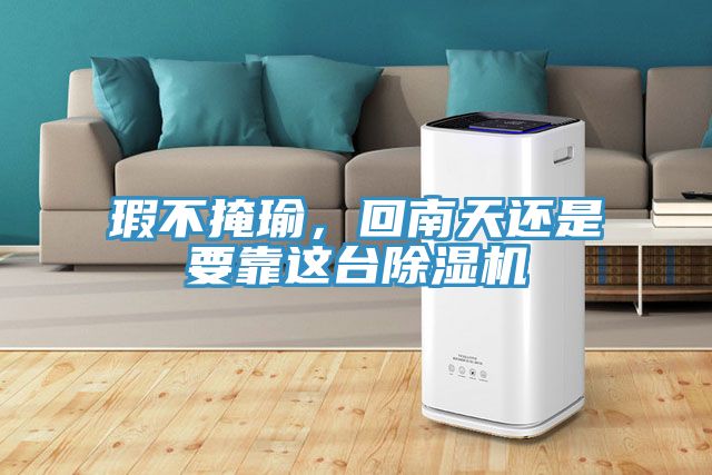 瑕不掩瑜，回南天還是要靠這臺除濕機(jī)