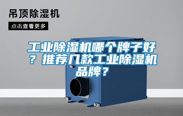 工業(yè)除濕機哪個牌子好？推薦幾款工業(yè)除濕機品牌？