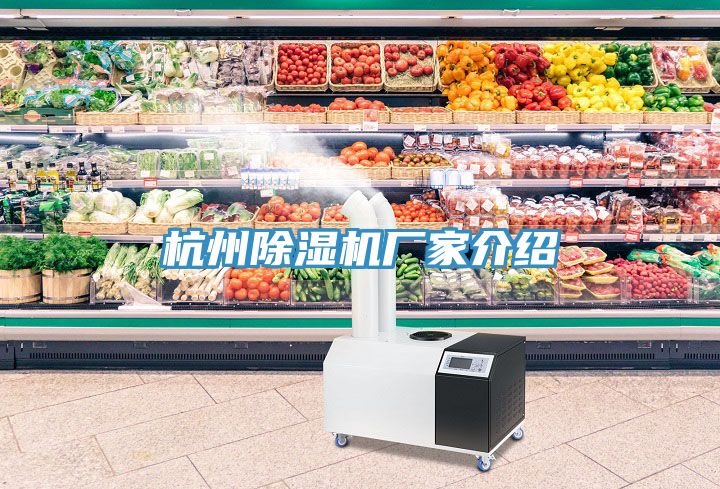 杭州除濕機(jī)廠(chǎng)家介紹