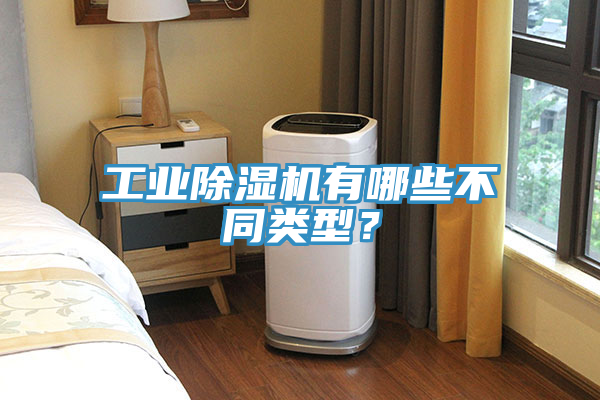 工業(yè)除濕機有哪些不同類型？