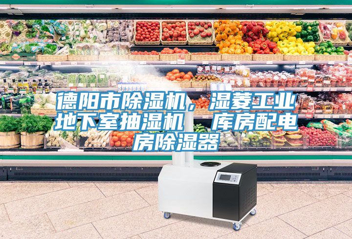 德陽(yáng)市除濕機(jī)，濕菱工業(yè)地下室抽濕機(jī)  庫(kù)房配電房除濕器