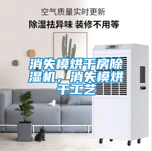 消失模烘干房除濕機(jī)，消失模烘干工藝