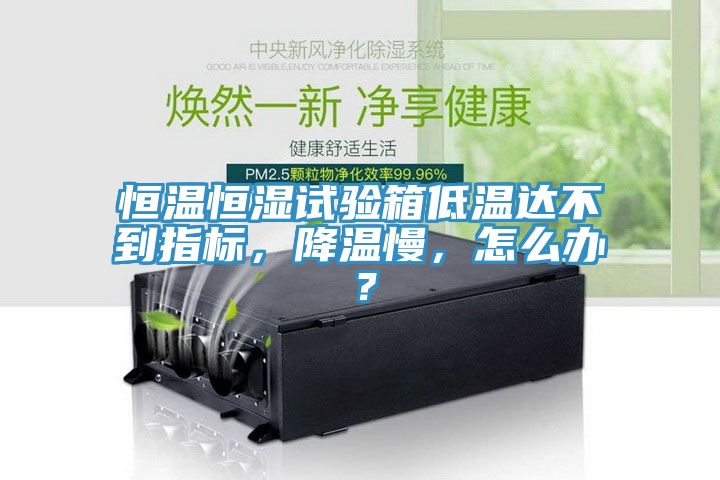 恒溫恒濕試驗(yàn)箱低溫達(dá)不到指標(biāo)，降溫慢，怎么辦？