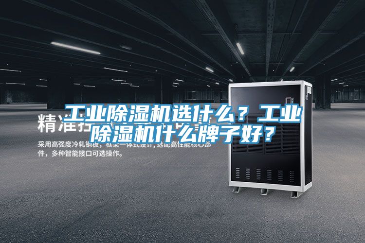 工業(yè)除濕機(jī)選什么？工業(yè)除濕機(jī)什么牌子好？